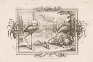ツイフラミンゴ Aves dicta Flaminges ex India Occidentali (オブジェクトのタイトル) 作： Johann Jakob Stelzer