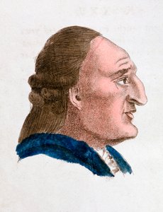 激烈で情熱的な気性のある人物の顔の特徴、1808