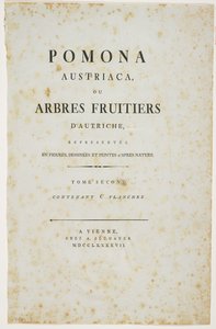 「Pomona Austriaca、またはオーストリアの果樹」のタイトルページ、1787-96（印刷） 作： Johann Kraft