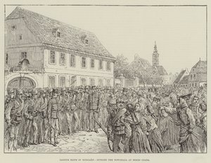 Bekes CsabaにあるTownhallの外のハンガリーでの労働暴動 作： Johann Nepomuk Schonberg