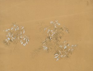 植え込み 作： Johann Peter Krafft