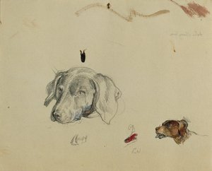 犬の研究