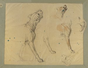「Landwehr Manの帰郷」のための犬の習作（1820年） 作： Johann Peter Krafft
