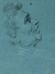 ホーフブルクの壁画のための頭の習作 作： Johann Peter Krafft