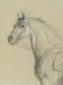 「アスペルンの戦いで杖を持ったカール大公」の馬術研究 作： Johann Peter Krafft