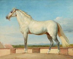 低い壁の前のカビ 作： Johann Peter Krafft