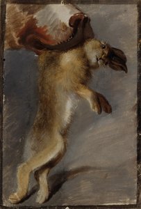 うさぎの研究 作： Johann Peter Krafft