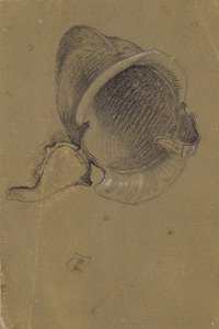 ヘルメットの研究
