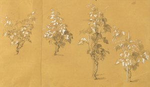 ワインストック、「ぶどう畑のヘルマンとドロテア」のための習作 作： Johann Peter Krafft