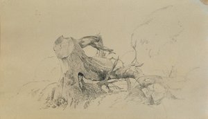 根系、倒木 作： Johann Peter Krafft