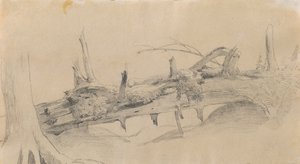 根系、倒木 作： Johann Peter Krafft