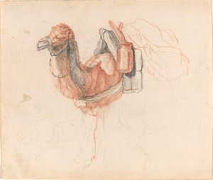 キャメル 作： Johann Rudolph Schellenberg