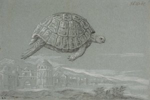 亀の習作と海辺の城塞都市の展望（ヴェネツィア） 作： Johann Salomon Wahl