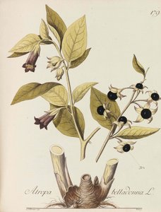すべての経済プラントのイラスト、1786-1788。