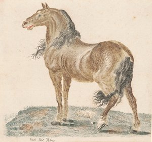 1690年代の「嘶く馬」。 作： Johann Teyler