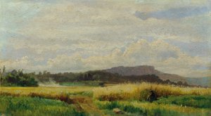 おばあさんと麦畑 作： Johann  Till der Jüngere