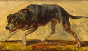 犬の研究