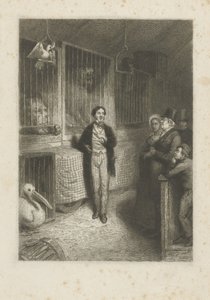 動物の観察 作： Johann Wilhelm Kaiser (I)