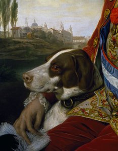 犬、パルマ公フェルディナン・オブ・ブルボンの肖像画の細部 作： Johann Zoffany