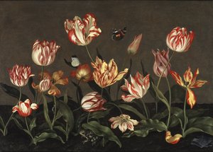 ボッシェルト、ヨハネス（1610年頃～1650年頃）の「チューリップのある自然」。木に油彩。寸法：46x64 cm。ストックホルム国立博物館