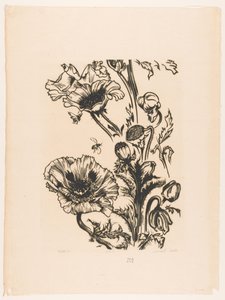Studie papavers (オブジェクトの元のタイトル) 作： Johannes Frederik Engelbert ten Klooster (signed by artist)