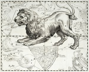 しし座（Johann Hevelius (1611-1687)の星図「Firmamentum Sobiescianum sive Uranographia」の挿絵、グダニスクにて。 作： Johannes Hevelius