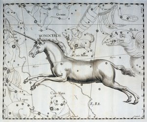 Monoceros, yksisarvisen tähdistö, kaiverrus Firmamentum Sobiescianum sive Uronographiasta taivaallisesta atlasista, Johann Hevelius (1611-1687), Gdansk 作： Johannes Hevelius