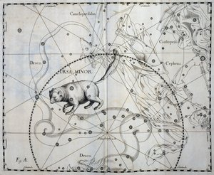 Ursa Minor, Boreal constellation of Ursa Minor, engraving from celestial atlas Firmamentum Sobiescianum sive Uronographia, by Johann Hevelius (1611-1687), Gdansk   1464566   ja       japanese Successfully Translated  Original: Don Quixote and sancho Panza  作： Johannes Hevelius