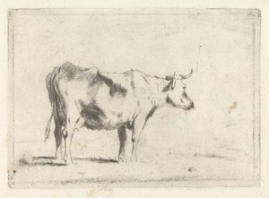 牛、右へ 作： Johannes Janson (possibly)