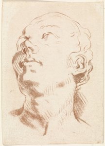 女性の頭 作： Johannes Janson (possibly)