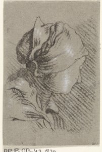 女性バスト 作： Johannes Janson (possibly)