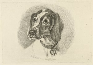 リング付き首輪付き犬の頭