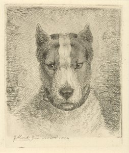 首輪付き犬の頭 作： Johannes Mock