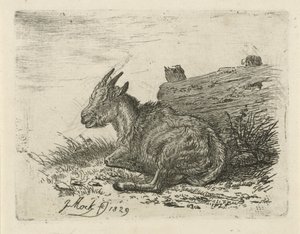 フェンスでバックを横になっています。 作： Johannes Mock