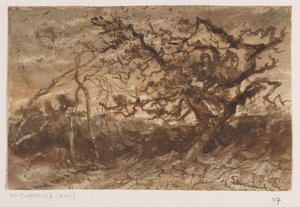 夕暮れの木 作： Johannes Tavenraat (signed by artist)