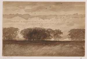 北ブラバント州のルーカリー 作： Johannes Tavenraat (signed by artist)