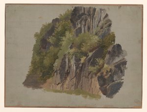 岩と植生