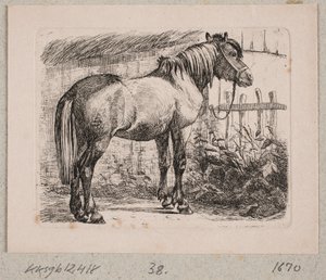 ホルター付きの馬 作： Johannes Wilhelm Zillen