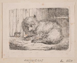 毛の長い犬 作： Johannes Wilhelm Zillen