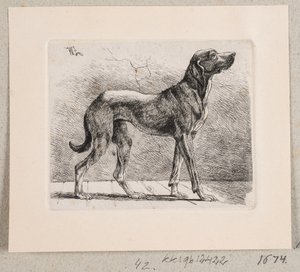 立っている犬 作： Johannes Wilhelm Zillen