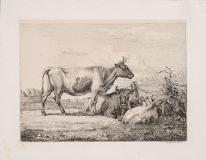 野原の牛 作： Johannes Wilhelm Zillen
