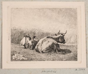 休んでいる 2 頭の牛 作： Johannes Wilhelm Zillen
