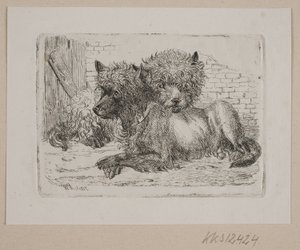 横になっている 2 匹の犬 作： Johannes Wilhelm Zillen