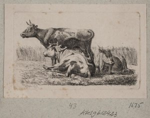 3頭の牛 作： Johannes Wilhelm Zillen