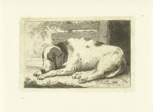 眠る犬