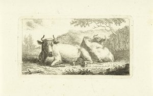 横になっている 2 頭の牛 作： Johannes van Cuylenburgh