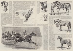 競走馬のキャリア（彫刻 作： John (after) Charlton