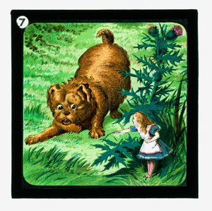不思議の国のアリス」カラーランタンスライド（ランタンスライド 作： John (after) Tenniel