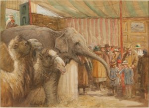 Bostock and Wombwell&39;s Menagerie（紙に鉛筆とWC） 作： John Atkinson