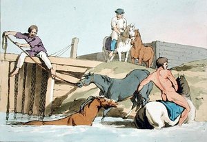 馬の水浴び」（画家によるエッチング、1803年発行）（カラーリトグラフ 作： John Augustus Atkinson